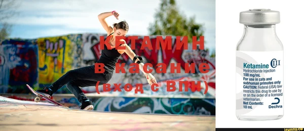 прущие грибы Абинск