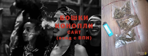 прущие грибы Абинск