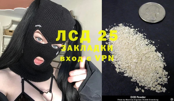 прущие грибы Абинск