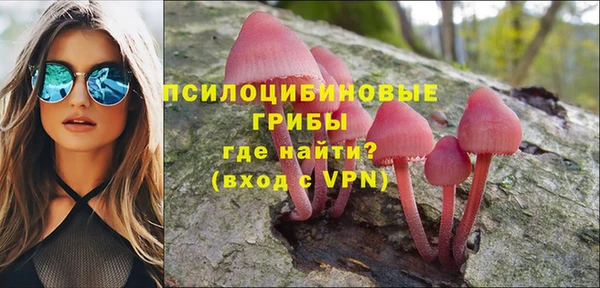 герыч Новодвинск