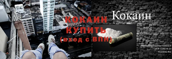 прущие грибы Абинск