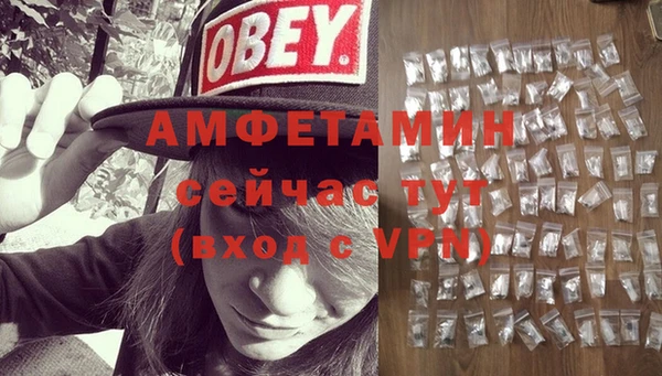 прущие грибы Абинск