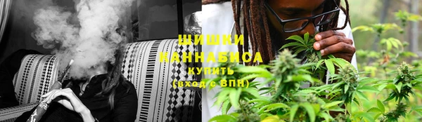 винт Новозыбков