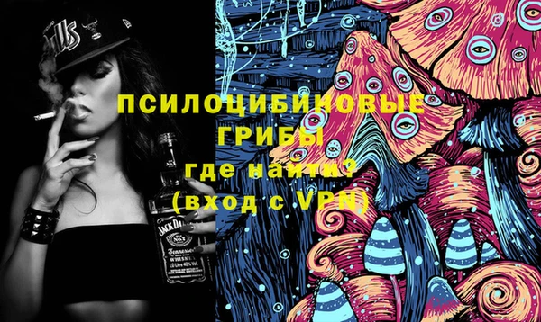 мдпв Абдулино