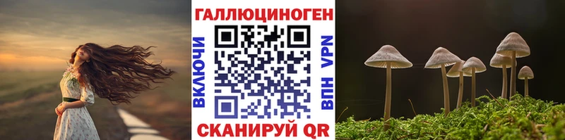 Галлюциногенные грибы GOLDEN TEACHER  купить наркотик  Усмань 